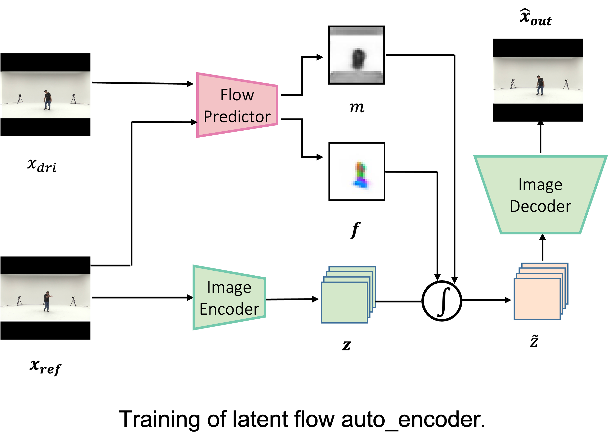 Interpolate start reference image.